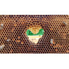 Lesní medovicový med 950g