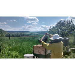 Květový med pastovaný 480g
